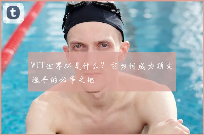 WTT世界杯是什么？它为何成为顶尖选手的必争之地