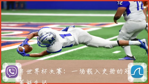 年世界杯决赛:一场载入史册的冠军诞生记