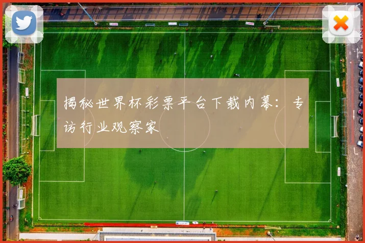 揭秘世界杯彩票平台下载内幕：专访行业观察家