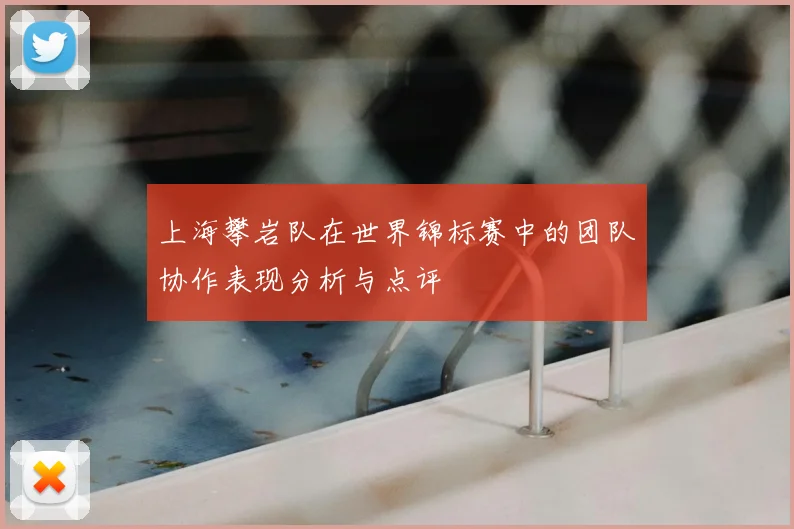 上海攀岩队在世界锦标赛中的团队协作表现分析与点评