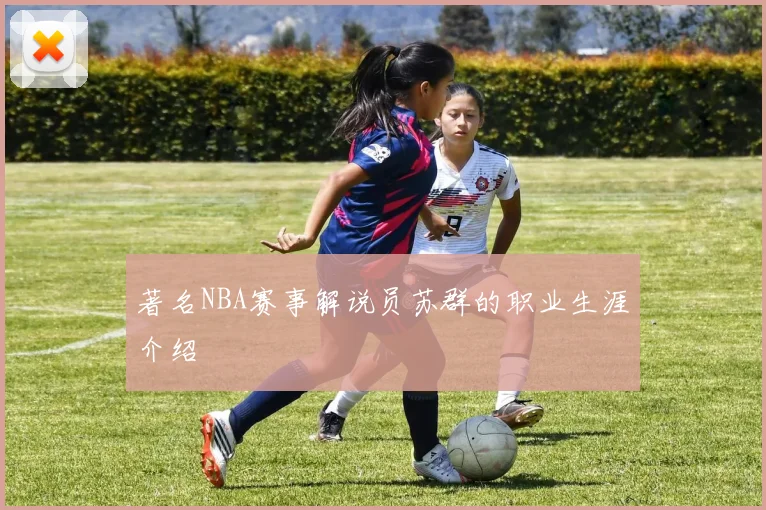 著名NBA赛事解说员苏群的职业生涯介绍