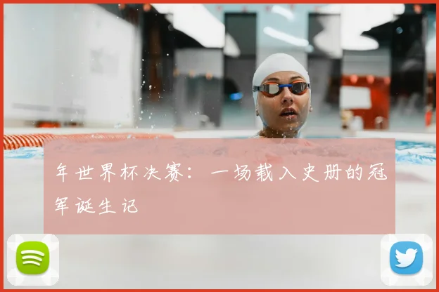 年世界杯决赛:一场载入史册的冠军诞生记