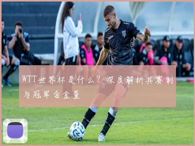 WTT世界杯是什么?深度解析其赛制与冠军含金量