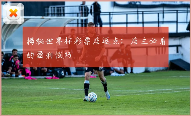揭秘世界杯彩票店返点：店主必看的盈利技巧