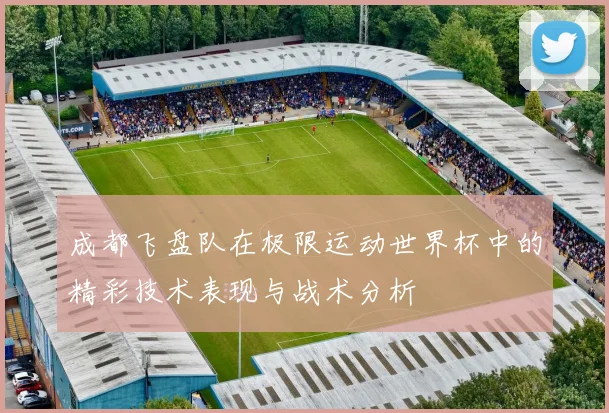 成都飞盘队在极限运动世界杯中的精彩技术表现与战术分析